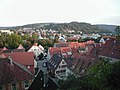 Möckmühl, Blick vom Burgberg ins Jagsttal