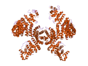 2h4m: Karyopherin Beta2/Transportin-M9NLS