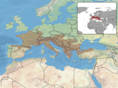 Mapa występowania