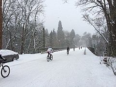 Light snow in Portland