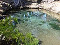 Sokonashiike Pond (底抜池)