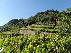 Today Hungary has 22 designated wine regions, Somló is one of them.