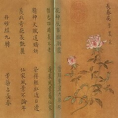 13th-century painting of Rosa chinensis 'Old Blush'