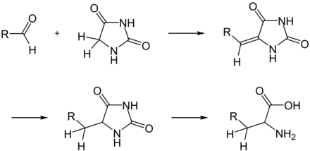 Aminosäuren aus Hydantoin