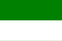 Flag of Jawa Timur