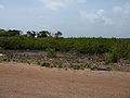 Banjul-Serekunda Highway