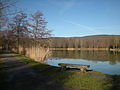 Seewaldseen: Unterer Seewaldsee bei Horrheim