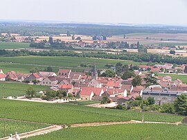 A general view of Vosne-Romanée