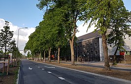 De Frontensingel gezien naar het noordoosten. Rechts de Mouleurs of De Belgen (Loods 5)