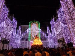 Celebrazione dell'Assunta a Novara di Sicilia