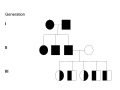 This pedigree has a autosomal recessive disorder. It is possible to tell this order is recessive because it skips generations with none of generation 3 actually displaying the trait. When both parents display the disorder all of their kids have to display the disorder. But when only one parent displays the disorder all of the kids will be carriers but unaffected by the trait. It is possible to tell the trait is autosomal because it affects females and males equally.