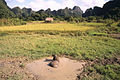 Landwirtschaft in Cát Bà, Vietnam