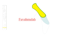 Flagge von Fuvahmulah-City (Gnaviyani)