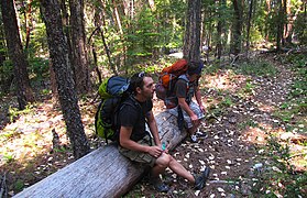 Grayback Mountain i USA