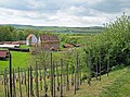 Blick vom Weinberg zur „Baugruppe Rhein-Main“