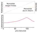 Neue Vektorgrafik