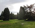 The Pinetum, Longstock Park