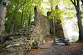 Ruine Alt-Ramschwag in Häggenschwil