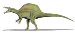 Spinosaurus aegyptiacus, a spinosaurid from the Middle Cretaceous of Egypt