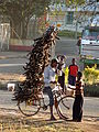 Hauling firewood by bicycle in Moshi, Tanzania