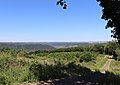 Keltenweg auf der Freiheit auf dem Höhenrücken bei Bruttig-Fankel Richtung Treis-Karden