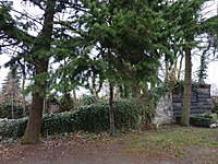 Dorfkirche Falkenberg (Ruine).