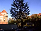 Lohmestraße, von der Borkumstraße nordwärts, links im Bild das Amtsgericht