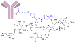 Gemtuzumab-Ozogamicin