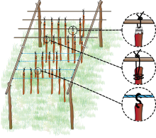 Schéma représentant le séchoir: deux barres parallèles reposent chacune, par leur extrémités, sur la fourche de piquets enfoncés dans le sol; perpendiculairement à ces barres sont placées d’autres, bien espacées, formant les traverses de suspension pour les lanières de viandes qui sèchent sans se toucher. Sur le droite du schéma, des loupes mettent en évidence les différents modes d’accrochage des lanières.