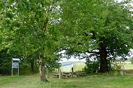 Querung der Landesgrenze mit Rastplatz und Hinweistafel