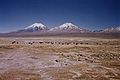 Park Narodowy Sajama