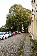 Lindenallee