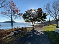 A few feet from the northern end of the path, beside the Bar Harbor Inn