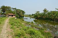 The Ichhamati at Purba Para