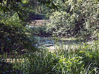 Ehemalige Kieselgur-Grube in Breloh (Munster/Örtze)