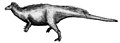 Camptosaurus