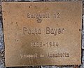 Bayer, Paula