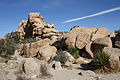 Joshua Tree Ulusal Parkı'nda bir kayalık