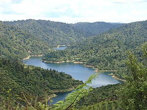 Das Mangatangi Reservoir in den Hanua Ranges