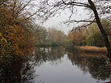 Kleine vijver achter in het park.