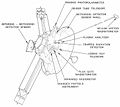 11.31, 29 Aralık 2005 tarihindeki sürümün küçültülmüş hâli