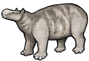 Rostriamynodon grangeri