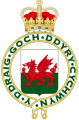 Royal Badge of Wales (1953-2008)