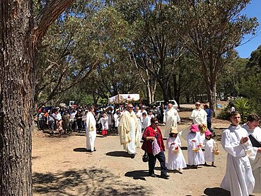 Eucharistic Procession to Grotto