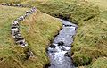 Der Bach Dalsá, der sich bei Gásadalur als Wasserfall in der Atlantik ergießt.