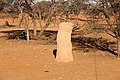 Termitenhügel in der Kalahari