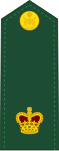 Dress uniform tunic