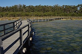 Thrombolieten in Lake Clifton