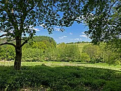 Wald begleitet den Teufelsbach im unteren Abschnitt des NSG