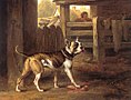 Bulldogge, 1790